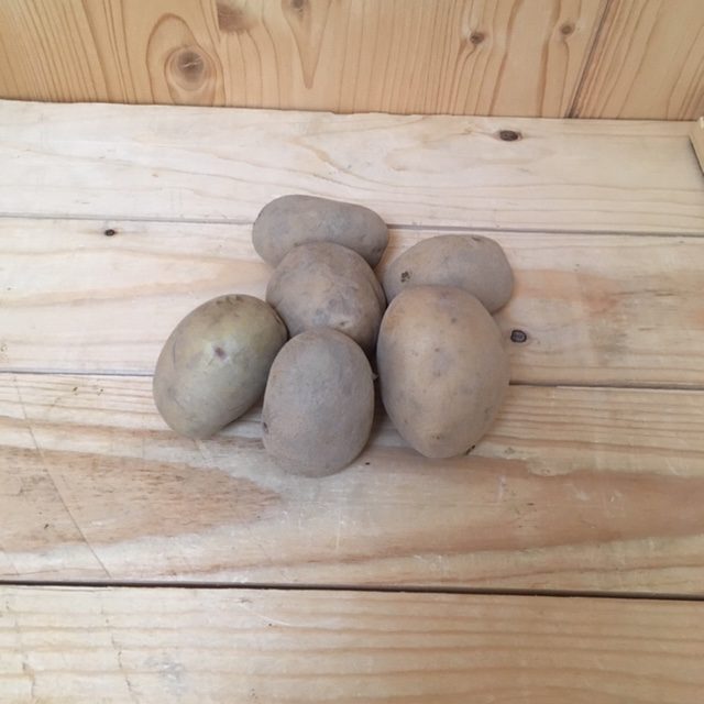 patates