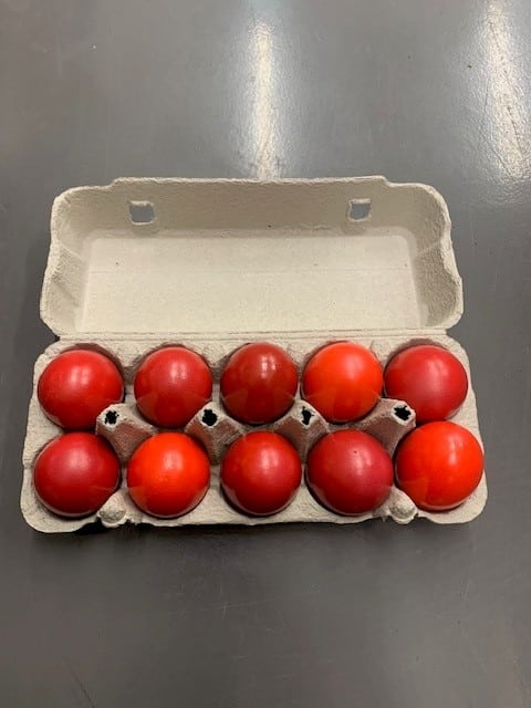 Boîte 10 œufs durs