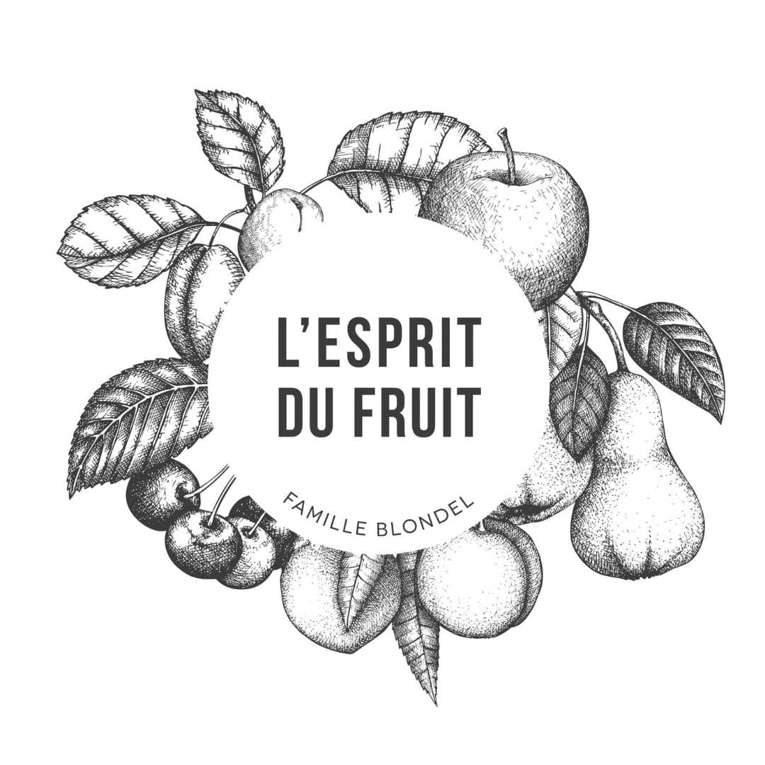 logo domaine famille blondel esprit du fruit crissier